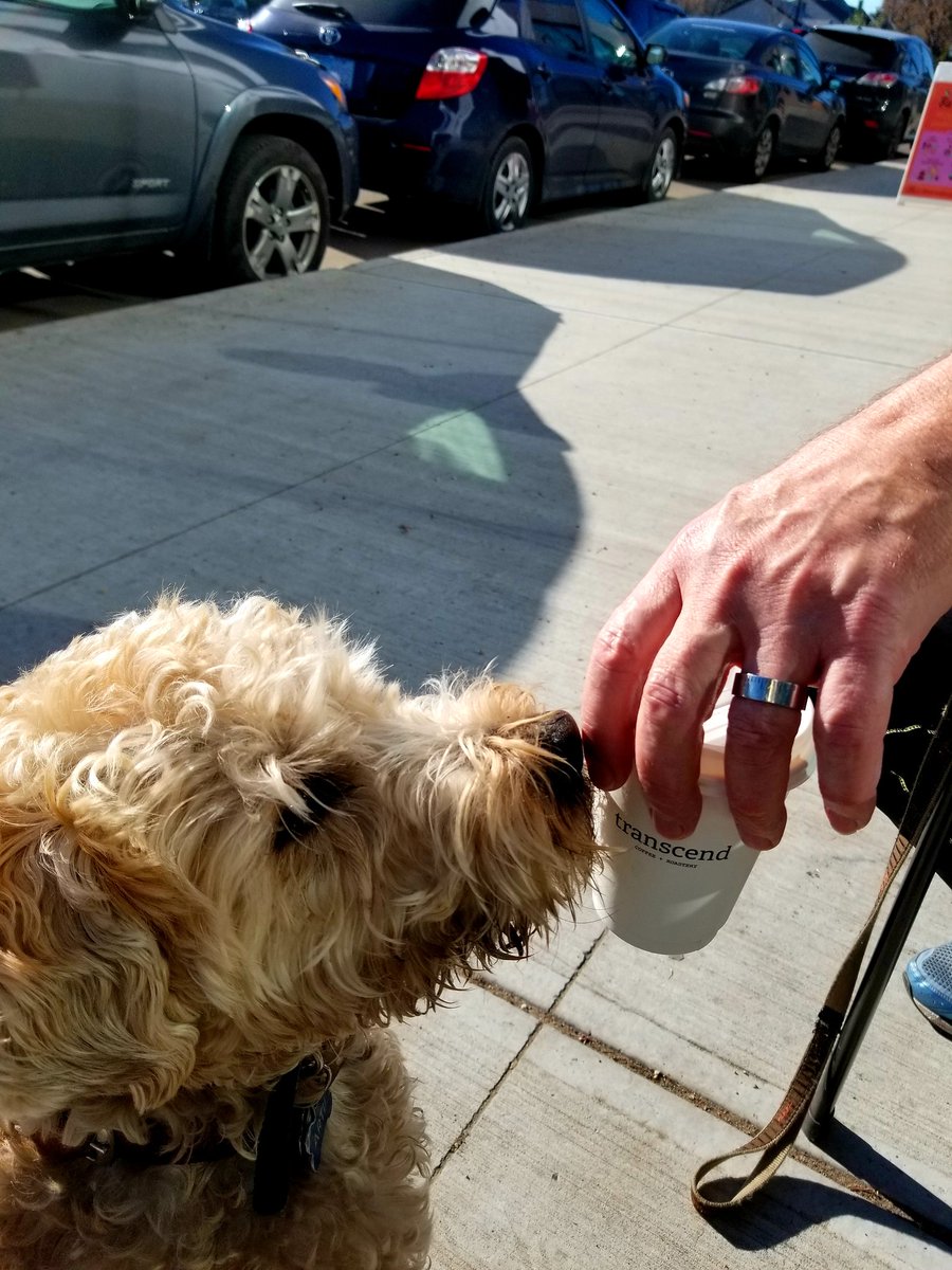 alysonjconnolly's tweet photo. Another coffee @transcendcoffee This time @MarkConnollyCBC and Artie are joining me. Artie's fave is Anericano. #HeyThat'sMine https://t.co/4ThquvXVEa