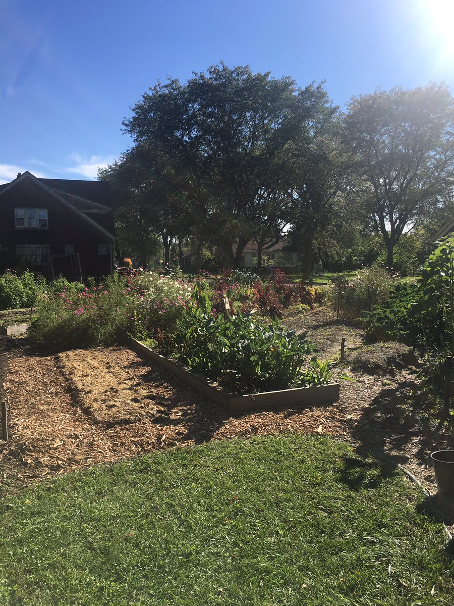 SilverThea's tweet photo. Community revitalization through flowers ๐ธ๐บ. Visiting the innovative #Detroitabloom project with #thegardendetroit. Amazing use of vacant, derelict land! https://t.co/BNpxU8tXJ8