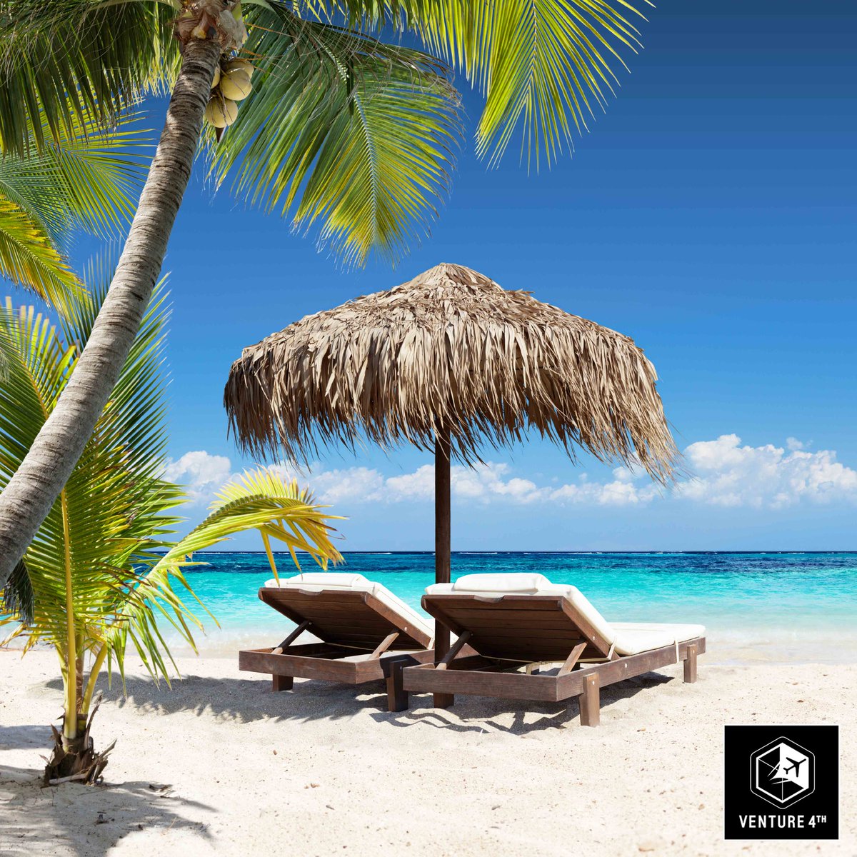 venture_4th's tweet photo. It's almost getaway season, where are you going this November? Comment below!
#Venture4th #v4th #travel #landscape #nature #ttot #vacation #adventure #wanderlust #worldtravel #photography #photooftheday #photo #traveltips #hiking #explore #dream #beach #goals #island #cruise https://t.co/AhK2NCAmhJ