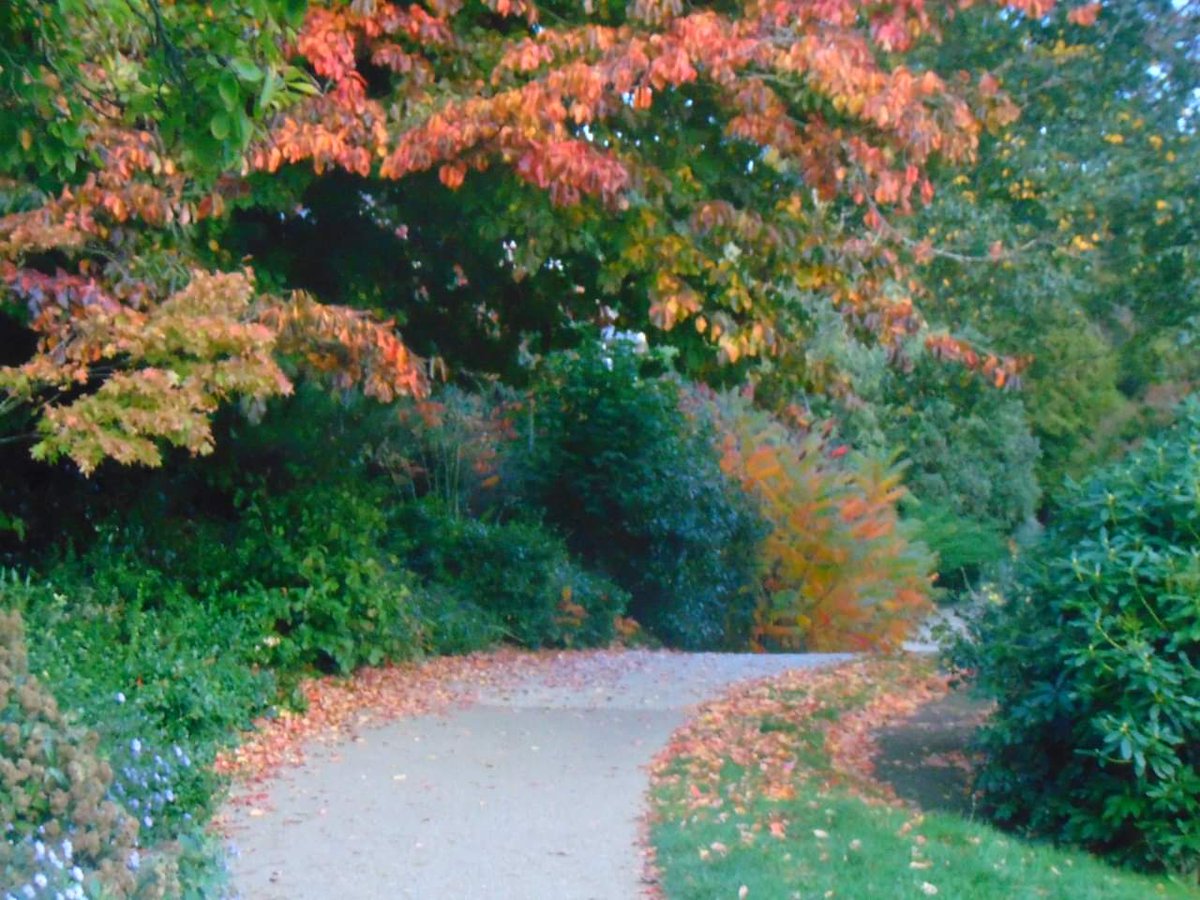 Autumn favourites