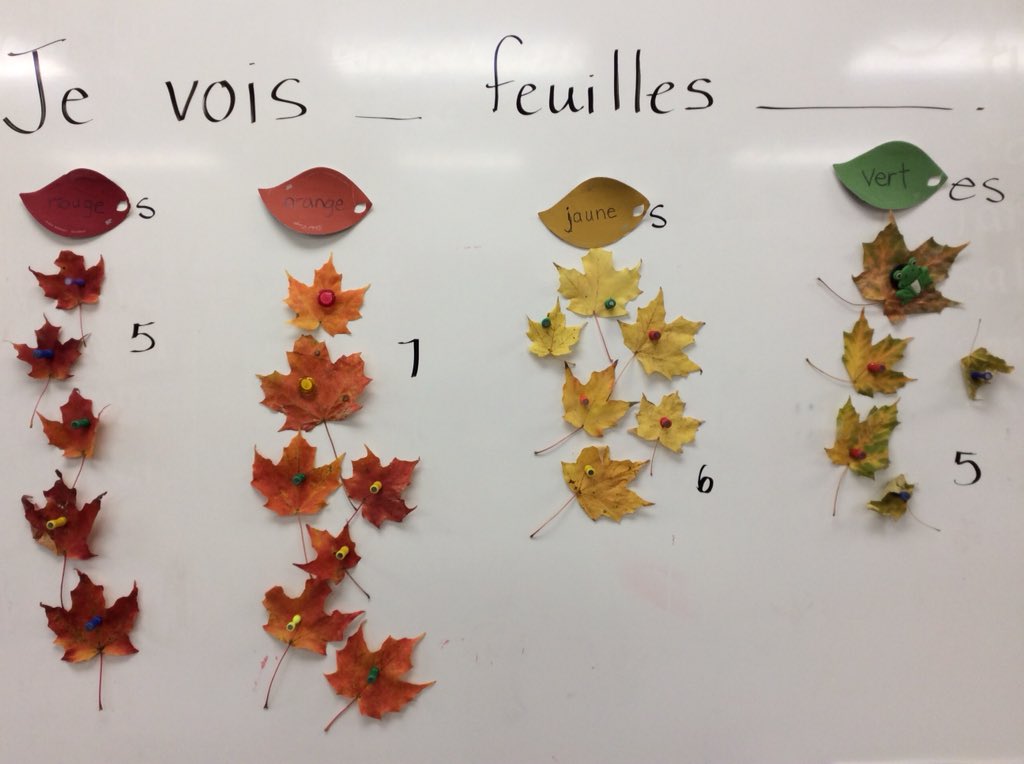 mmejacquie's tweet photo. Tapping into Ss love of making leaf bouquets (and bringing them into the class!!) by writing « structures répétées » books to practice at home. #FSL #situationauthentique https://t.co/pKt06gnzBA