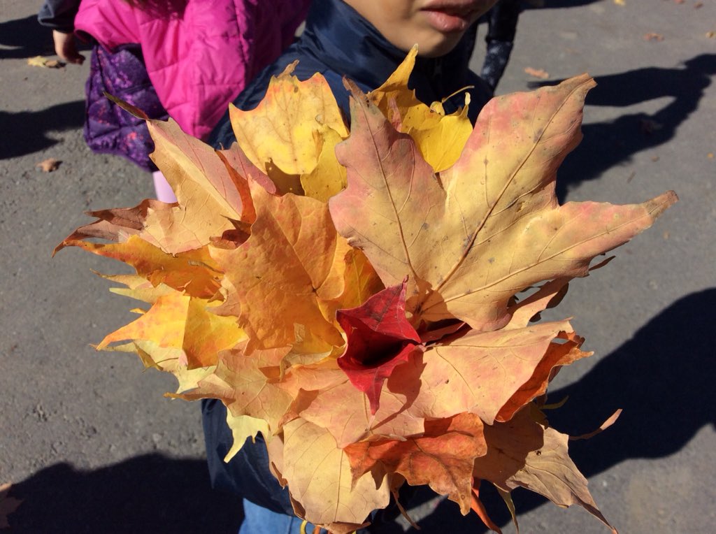mmejacquie's tweet photo. Tapping into Ss love of making leaf bouquets (and bringing them into the class!!) by writing « structures répétées » books to practice at home. #FSL #situationauthentique https://t.co/pKt06gnzBA