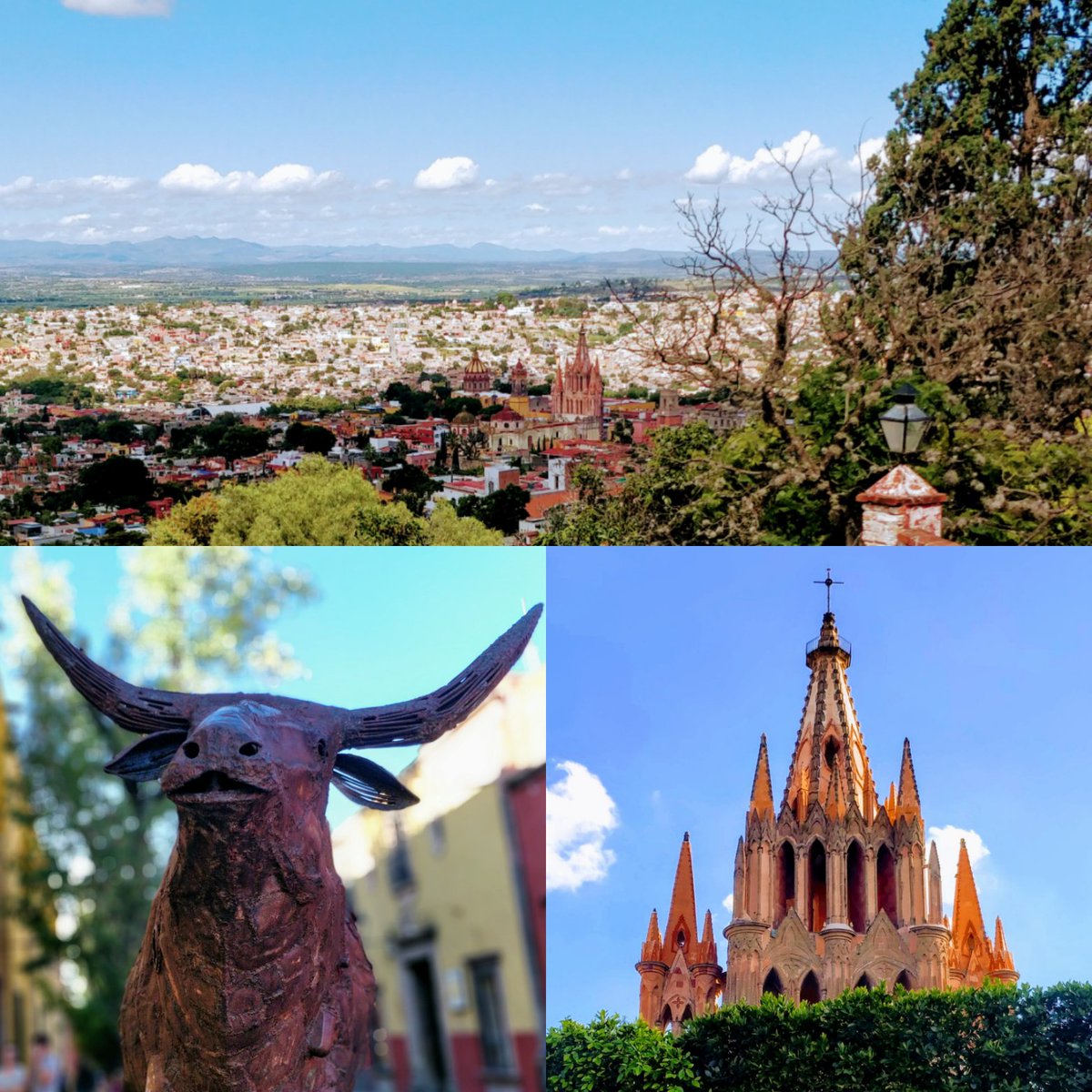 domRTW's tweet photo. Later that day, we went to see San Miguel de Allende, a town situated on a mountain for which the center is named UNESCO World heritage for its Mexican baroque. It also hosts a considerable amount of foreign (mostly US-American) artists living here after retiring in the USA. https://t.co/XWVOZC38IZ