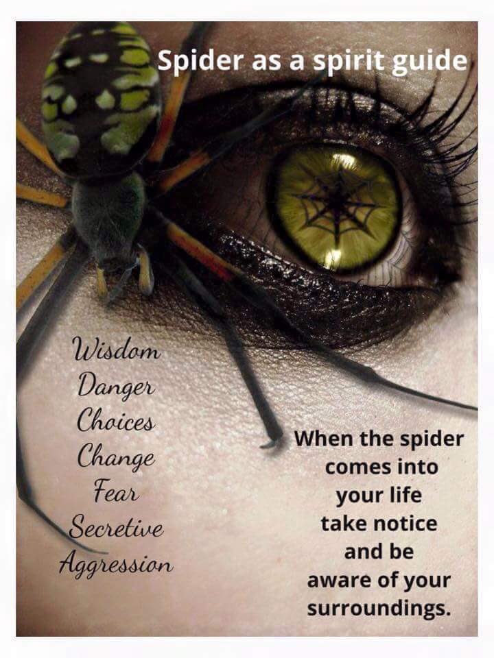 thecauldronmix's tweet photo. #witchytipoftheday
#bookofshadows 
#witch #occult #pagan
#spiders #spidermagic https://t.co/MCW2Tuh8dd