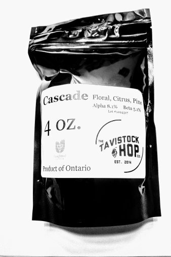 TavistockHopCo's tweet photo. Attn @OntCraftBrewers 2018 crop year sample boxes of our #onthops are now available for delivery to the brewery DM or email kyle@tavihops.ca to order your box and sample this year's harvest. #Cascade #Centennial #Newport #Glacier #Rakau #Hallertau #Heritage https://t.co/RWxTBwTRpV