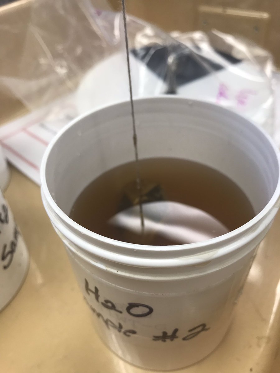 teamprufus's tweet photo. Using a Secchi Disk to test turbidity of water sample #2 #highturbidity @BakerScienced @BakerScience https://t.co/UdRFHczzhy