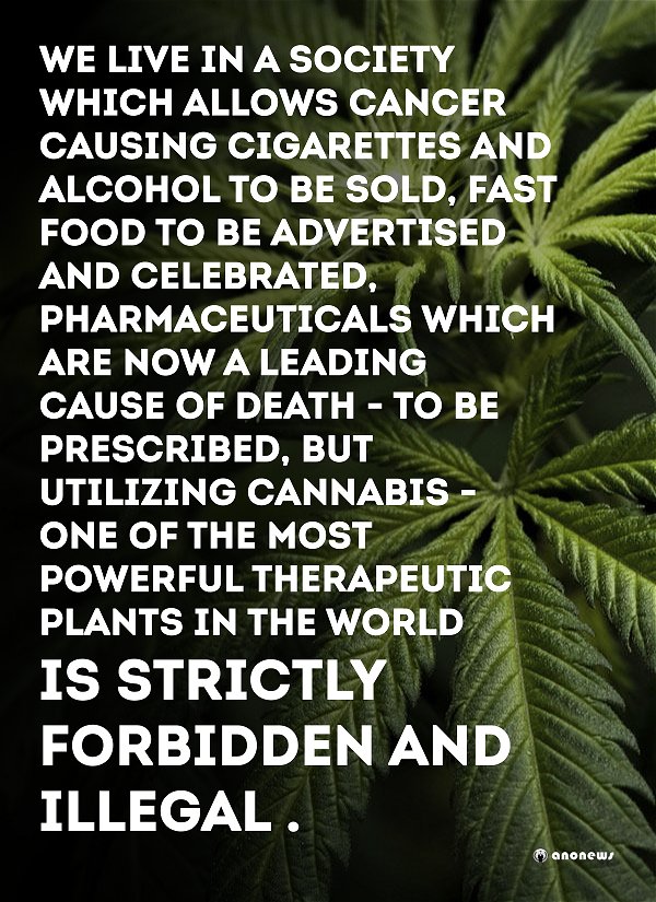 CannaWorld (@cannaworldsite) on Twitter photo 