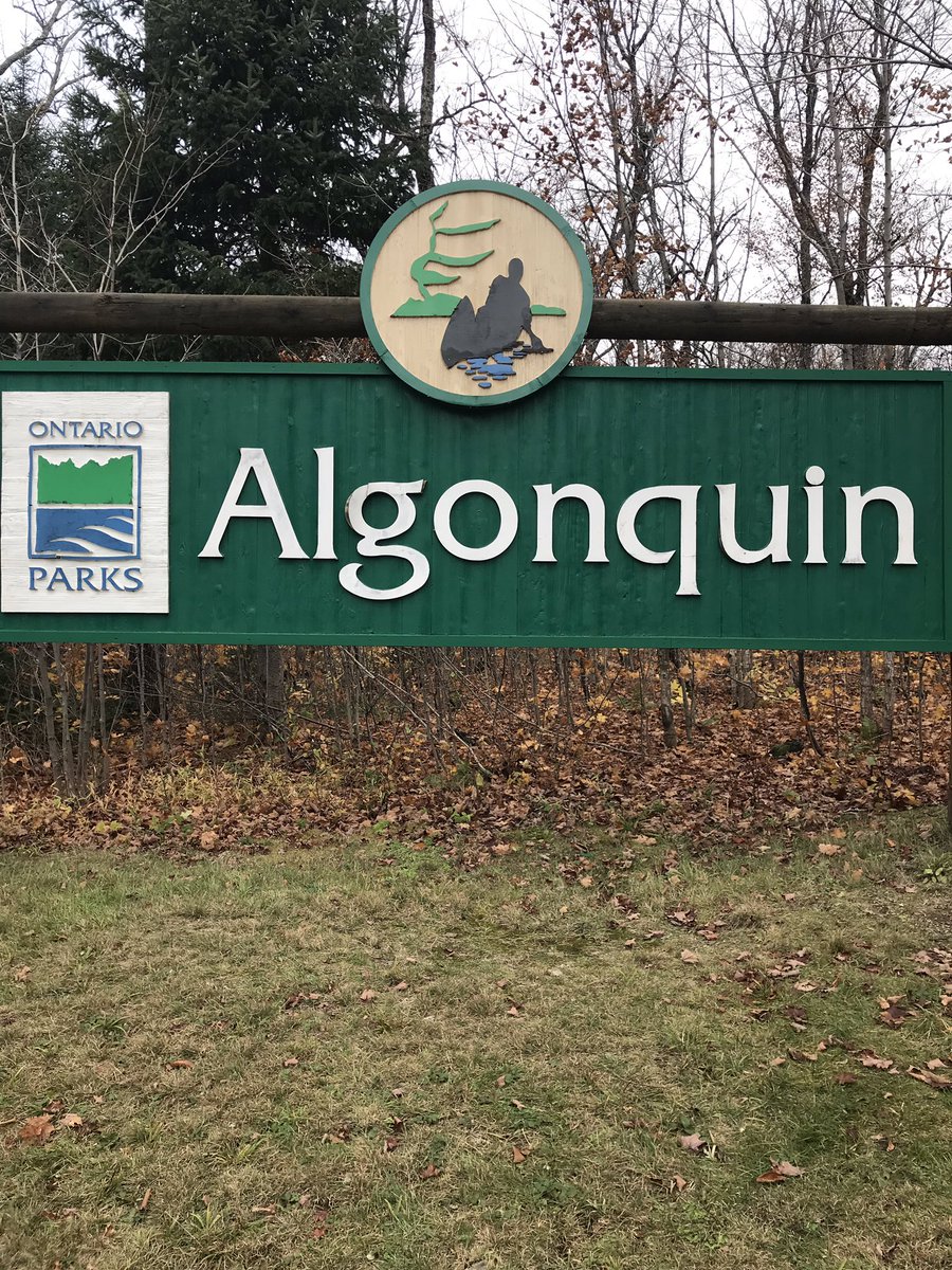 Relphy85's tweet image. Amazing place to clear your mind!