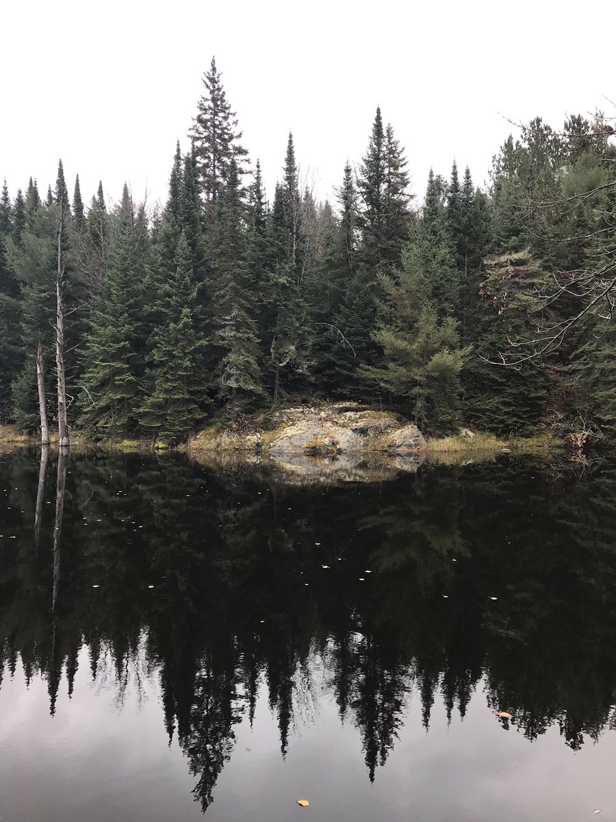 Relphy85's tweet image. Amazing place to clear your mind!