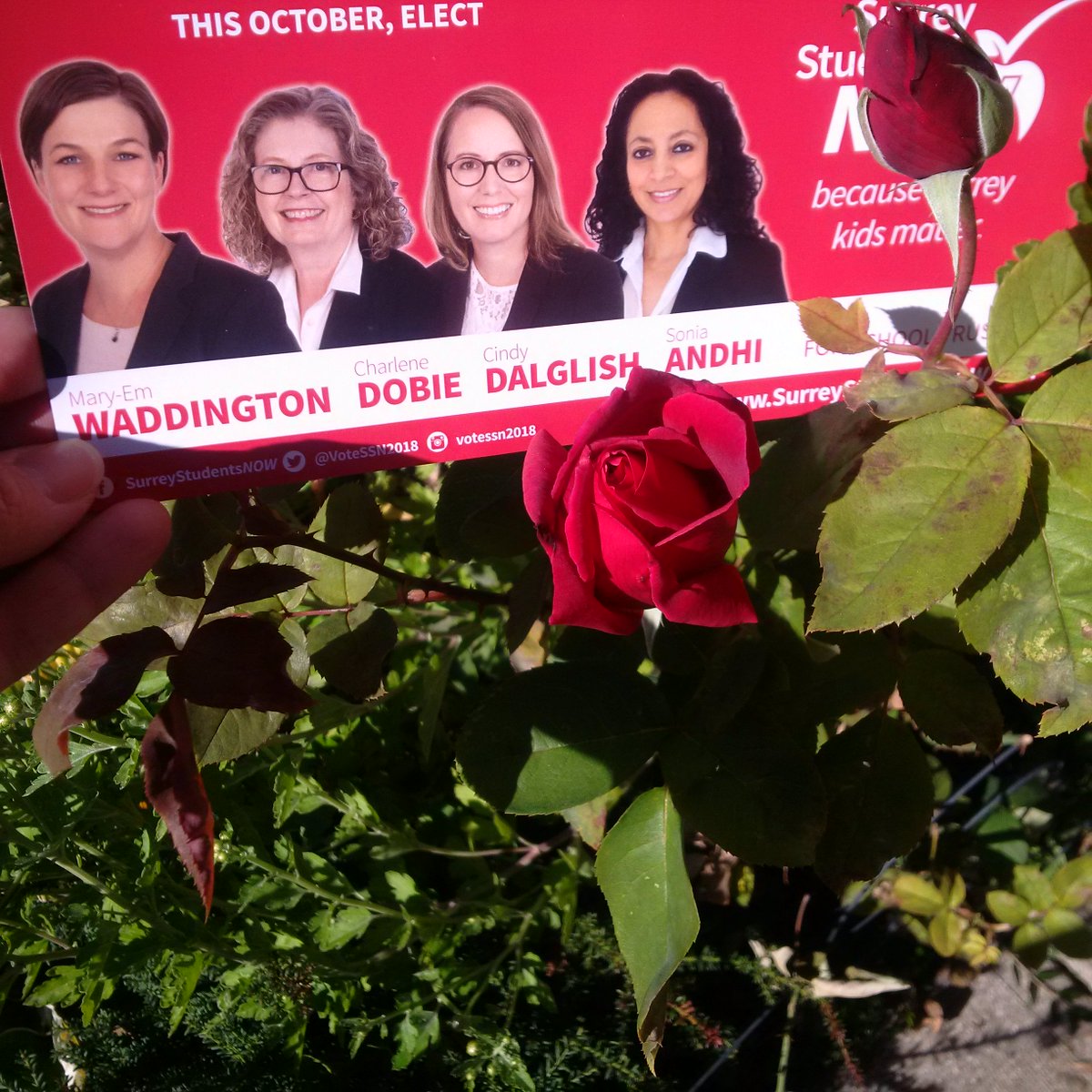 MEWaddington's tweet photo. I am not forgetting to stop and smell the roses along the way. #elex2018 #surrey #sunshine @VoteSSN2018 https://t.co/aOaIwSvbTd