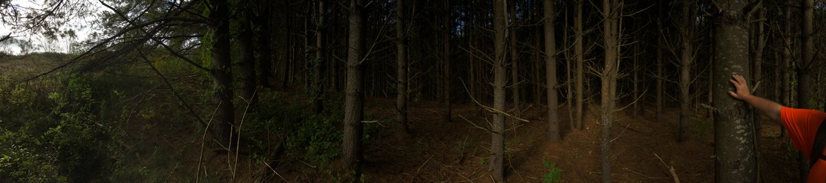 msouliere's tweet photo. Last week had an awesome time tromping in fields &amp; woods for hours. 😃 Tons of birds, squirrels, monarchs, mushrooms, &amp; signs that deer had been there before us. Learned to use a compass w/out map to navigate into &amp; out of the woods. HUZZAH! Here's to more time spent outdoors...! https://t.co/An4oETYZUT