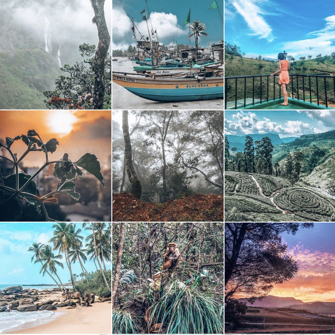 Journilicious tweet media