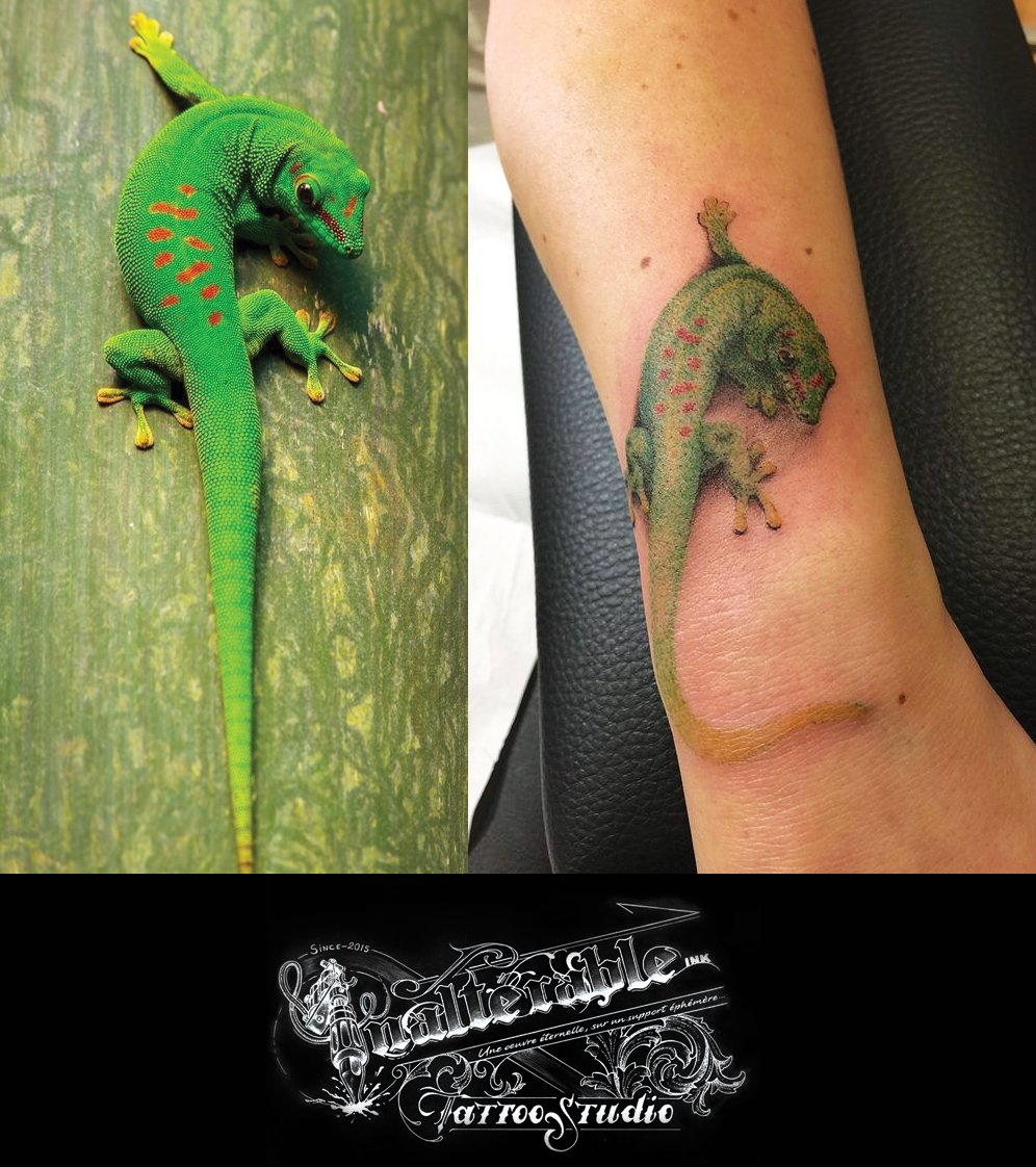 InalterableInk's tweet photo. WORK IN PROGRESS - #tattoo #tatouage #tattooed #tattooing #inked #inktattoo #WIP #workinprogress #travailencours #annimal #animal #artwork #inkwork #drawing #dessin https://t.co/Nrj1TzA9qY