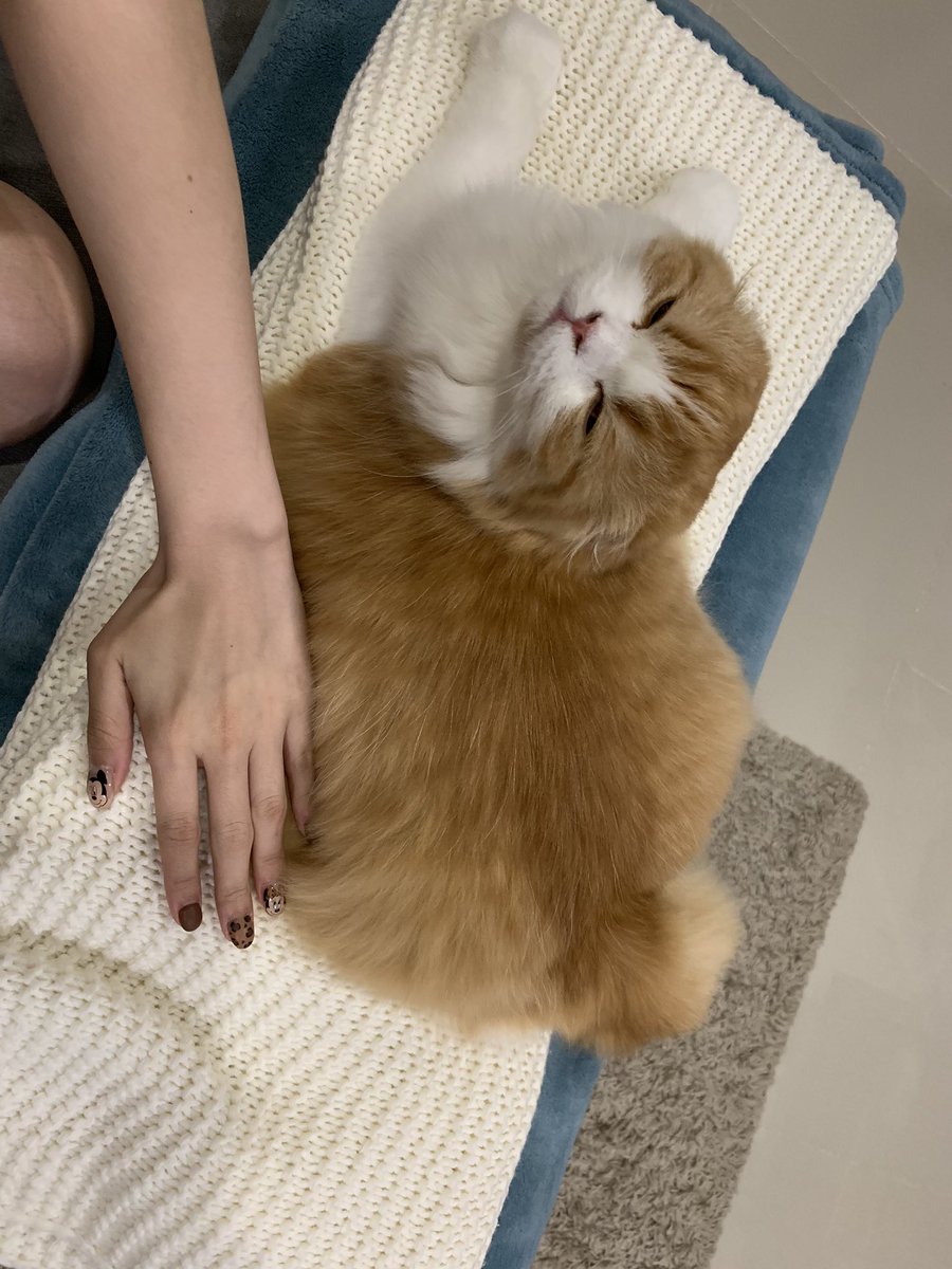 𓂋 ⌗🥛น้องไอดอ🏸⟢ tweet media