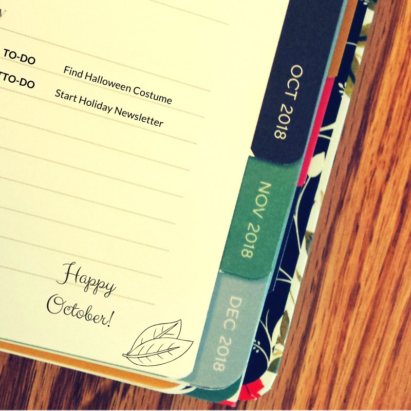 wildkeycreative's tweet photo. It's mid-October, do you know where your time has gone? We do! We've been busy working for clients, taking vacations, going to Paper Shows and more. How has your October been? #Halloweenready #pumpkineverything #howisitoctober https://t.co/Y1xhBxiODM