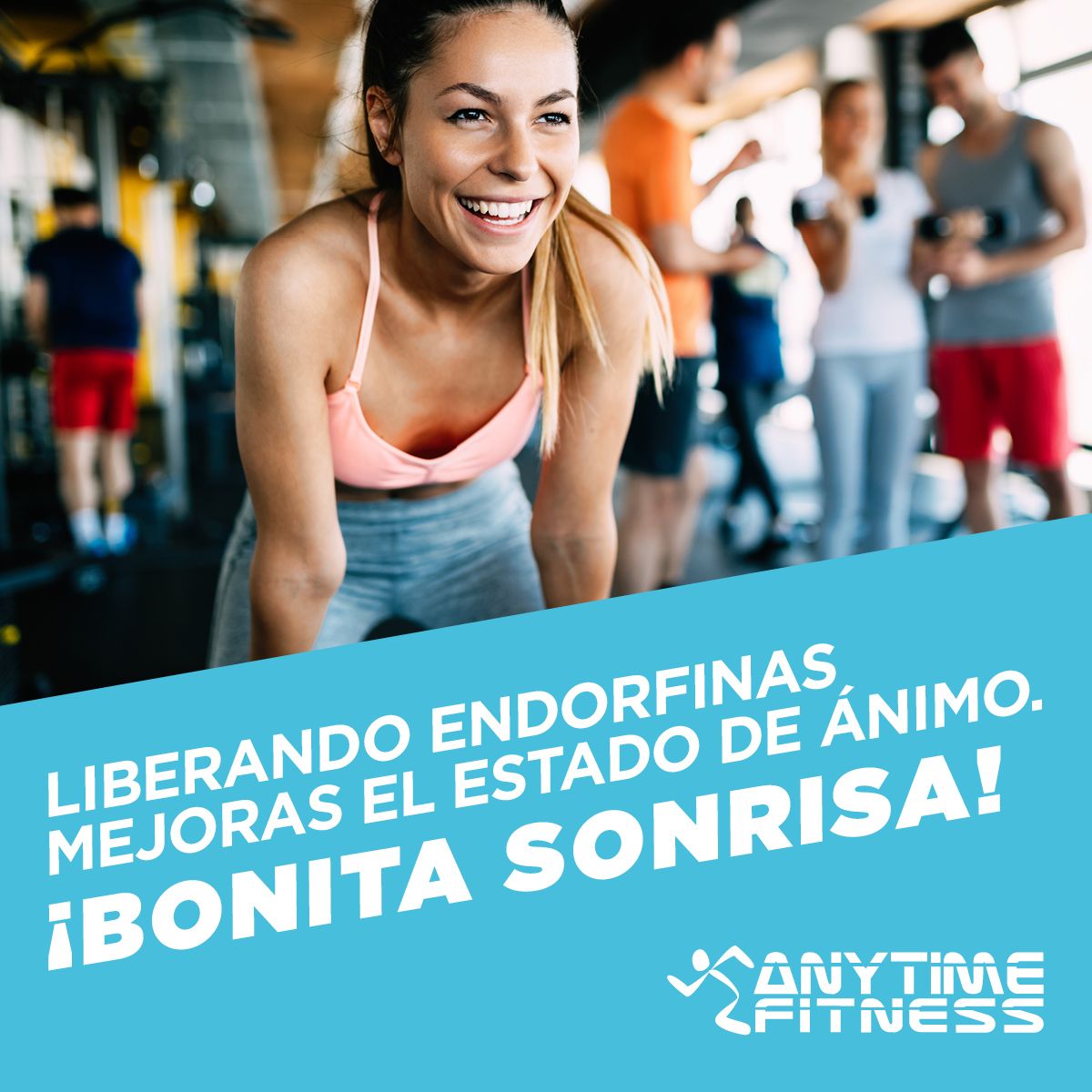 AnytimeVilanova's tweet photo. El #deporte y las #endorfinas siempre van de la mano. Por eso nuestro club siempre está lleno de 😃 Mira lo que te pierdes el día que no vienes... y lo que es peor: echamos de menos tu preciosa #sonrisa #AnytimeFitness #motivacion #TuMejorTu #FelizMartes #Gym #Fitness #Salud https://t.co/I3iWJB6WGO