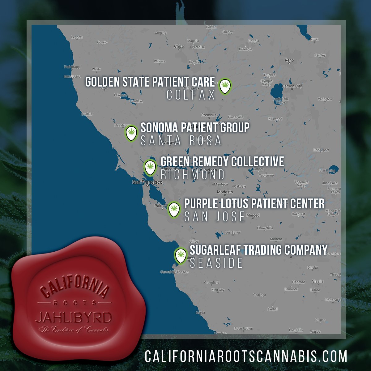 CaliRootsCanna's tweet photo. Looking for California Roots Cannabis? Visit one of these local dispensaries today! #CaliRootsCannabis @jahlibyrd https://t.co/lX2dQcDYqJ