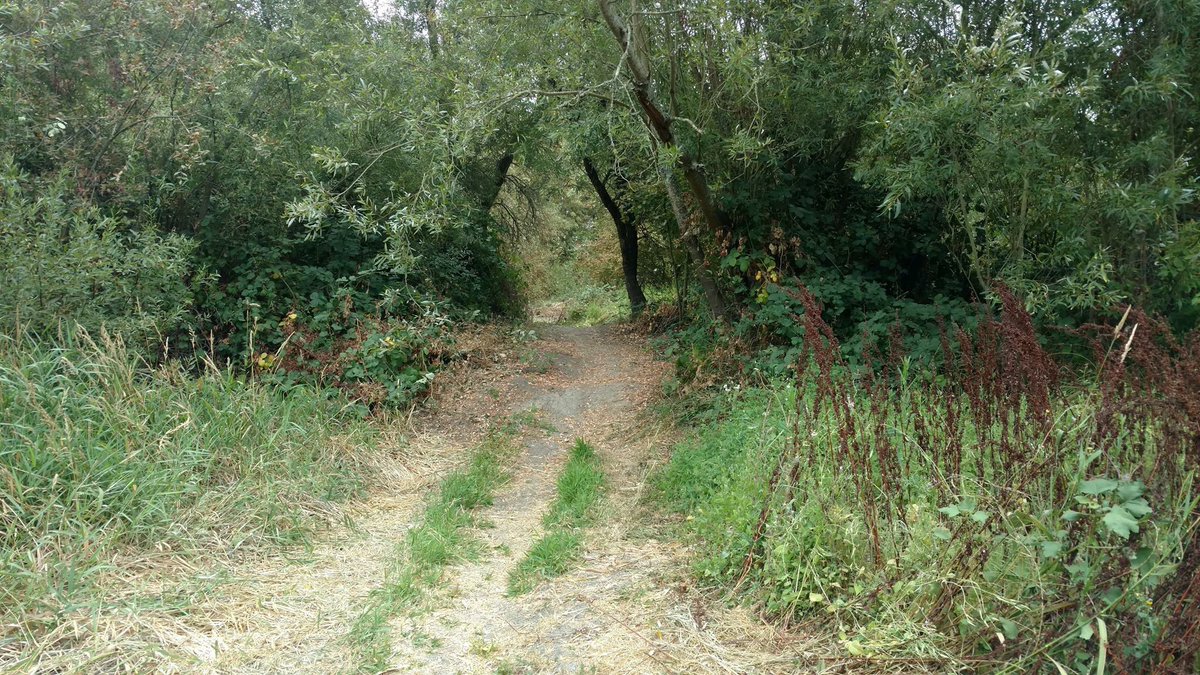 Come on out and help the Laguna! Laguna Stewards workday this Sat. a.m.: facebook.com/events/7341768… #lagunarestore