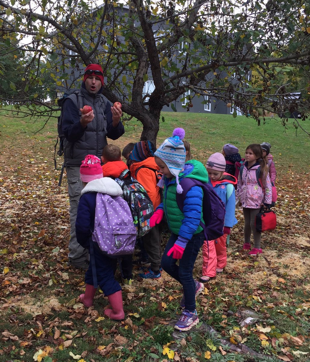 Our Sk/1’s enjoying the great outdoors today! #rcdsbexperientiallearning
