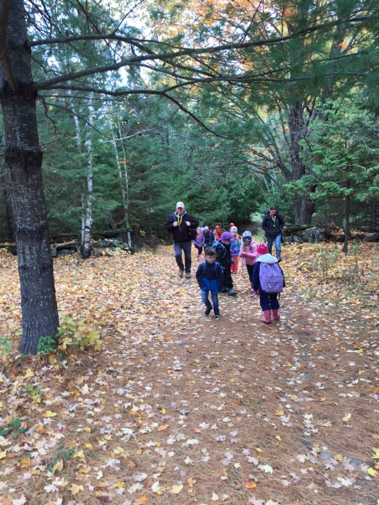 CentralCyclone1's tweet photo. Our Sk/1’s enjoying the great outdoors today! #rcdsbexperientiallearning https://t.co/6aHoIN5KxT