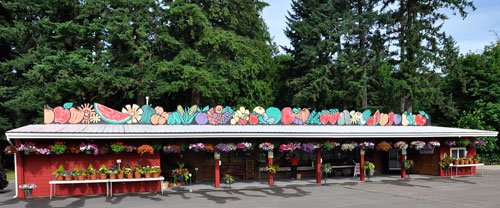 Fir Point Farms is one of Oregon's best pumpkin patch with a country store, petting animals and more! 

firpointfarms.com