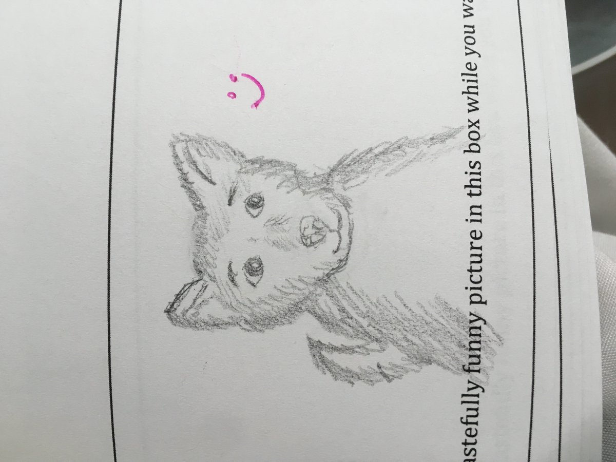 Pets are high on student's minds during pre-lab quizzes #dogsoftwitter #where_are_the_safety_glasses_though