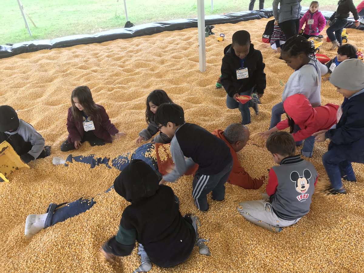 ladyfaye87's tweet image. Where’s Mr Knight ?! #pumpkinpatchfun #Kindergarteners #O_Braves @MsApgar_K