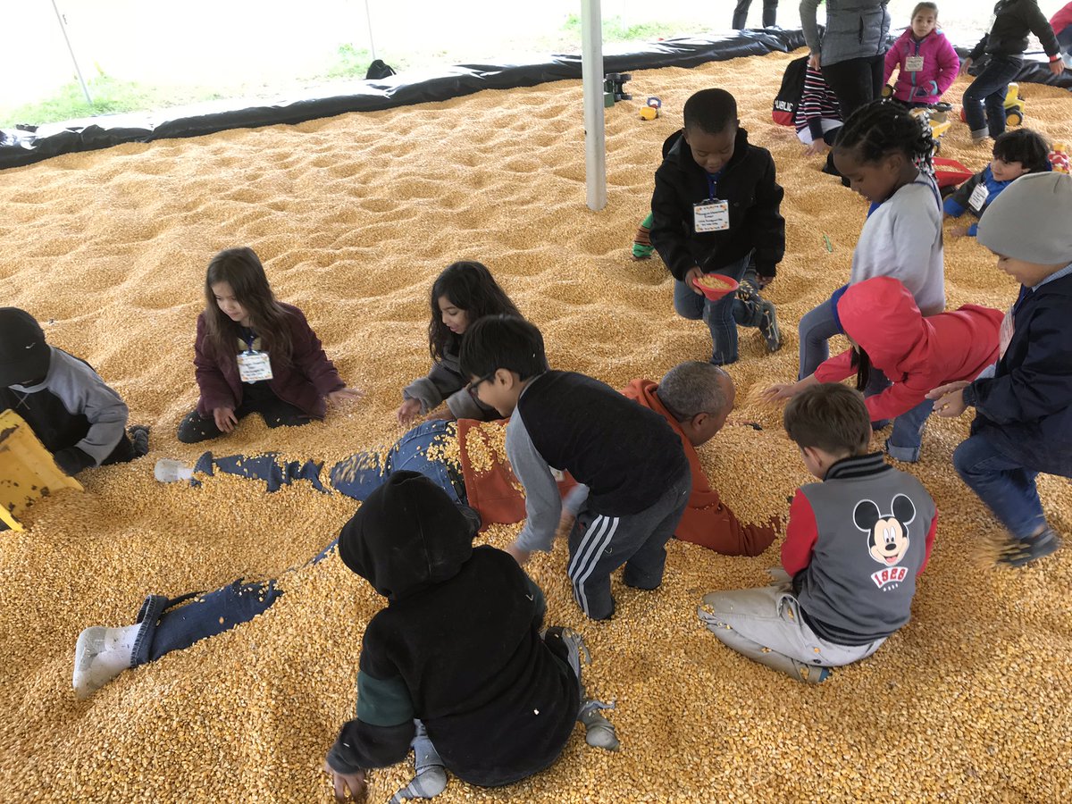 ladyfaye87's tweet image. Where’s Mr Knight ?! #pumpkinpatchfun #Kindergarteners #O_Braves @MsApgar_K