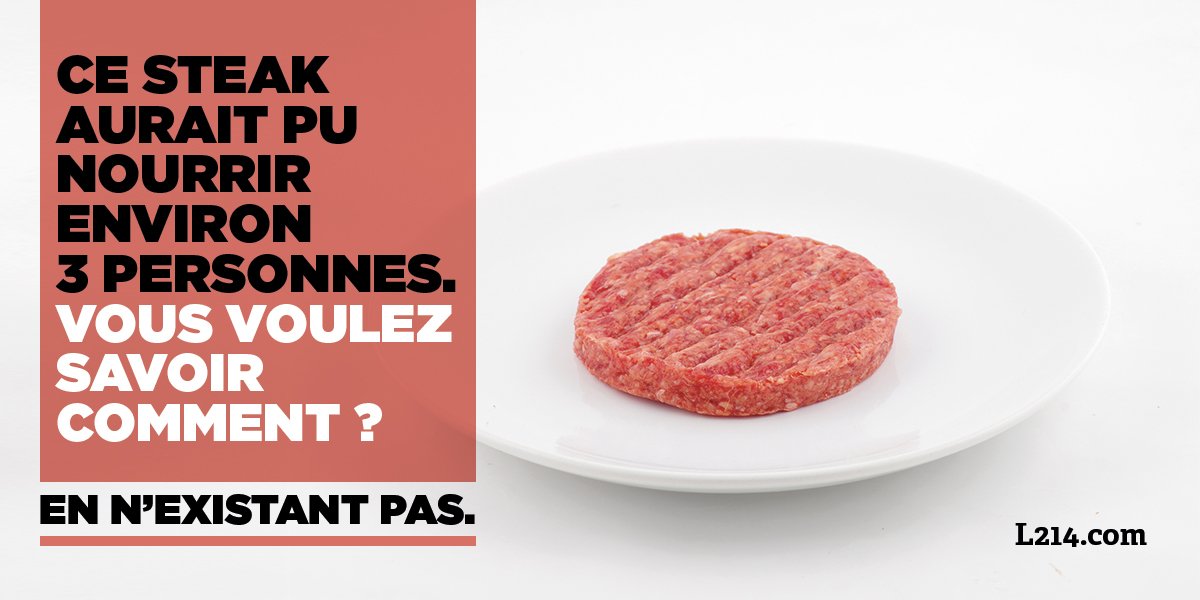 L214's tweet photo. Sachant qu'1/3 de la production mondiale de céréales (hautement nutritives pour l'humain) est destiné à l'élevage et qu'il faut en moyenne 3Kg de végétaux pour produire 1Kg de viande*, combien de personnes supplémentaires pourraient manger à leur faim si ce steak n'existait pas ? https://t.co/Fe7vRZP1O1