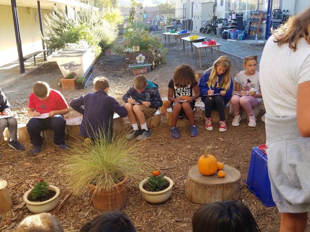 MsFailRoom30's tweet photo. Garden time! Fall garden lessons in progress. #MDUSD #MDEEagles https://t.co/jWc9aOiO99