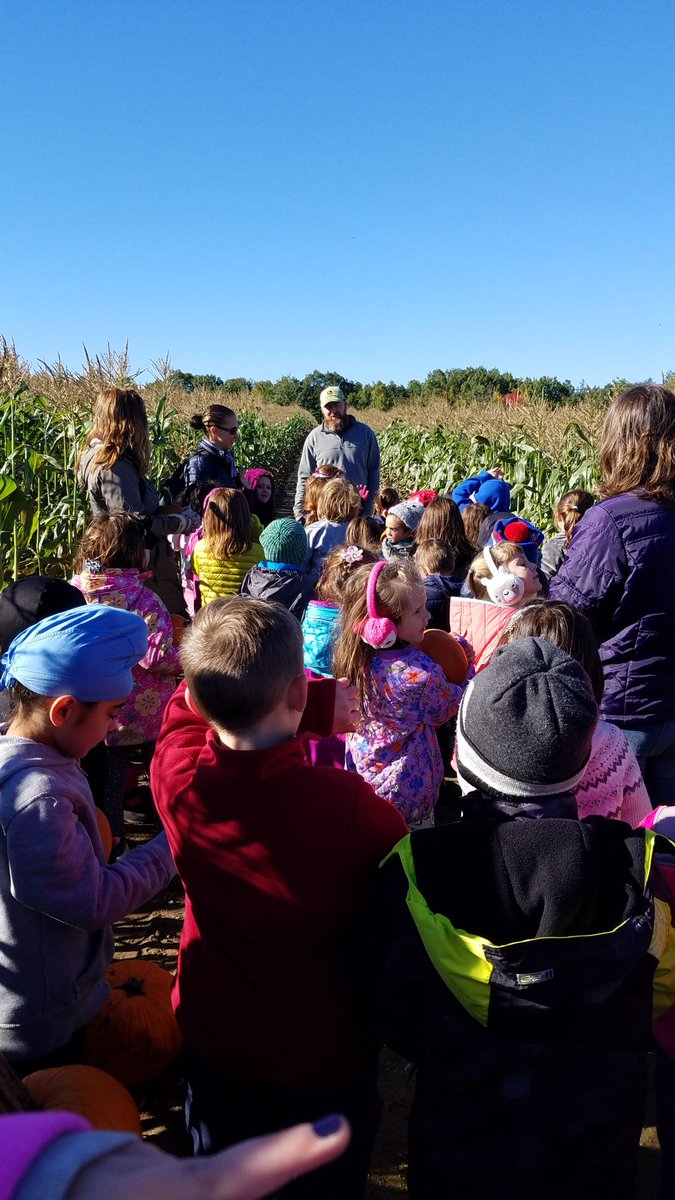 HollisPrimary's tweet photo. First graders learned about lifecycles, seeds and the structure/function of pumpkin vines this morning at the Woodmont Farm Pumpkin Patch! Thank you Farmer Lavoie!! #nhkids #experentiallearning https://t.co/qeVnO0KUDh