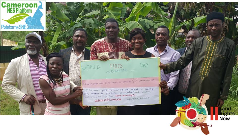 CameroonNes's tweet photo. WORLD FOOD DAY 16 OCTOBER 2016 https://t.co/3hh3YQhpGi