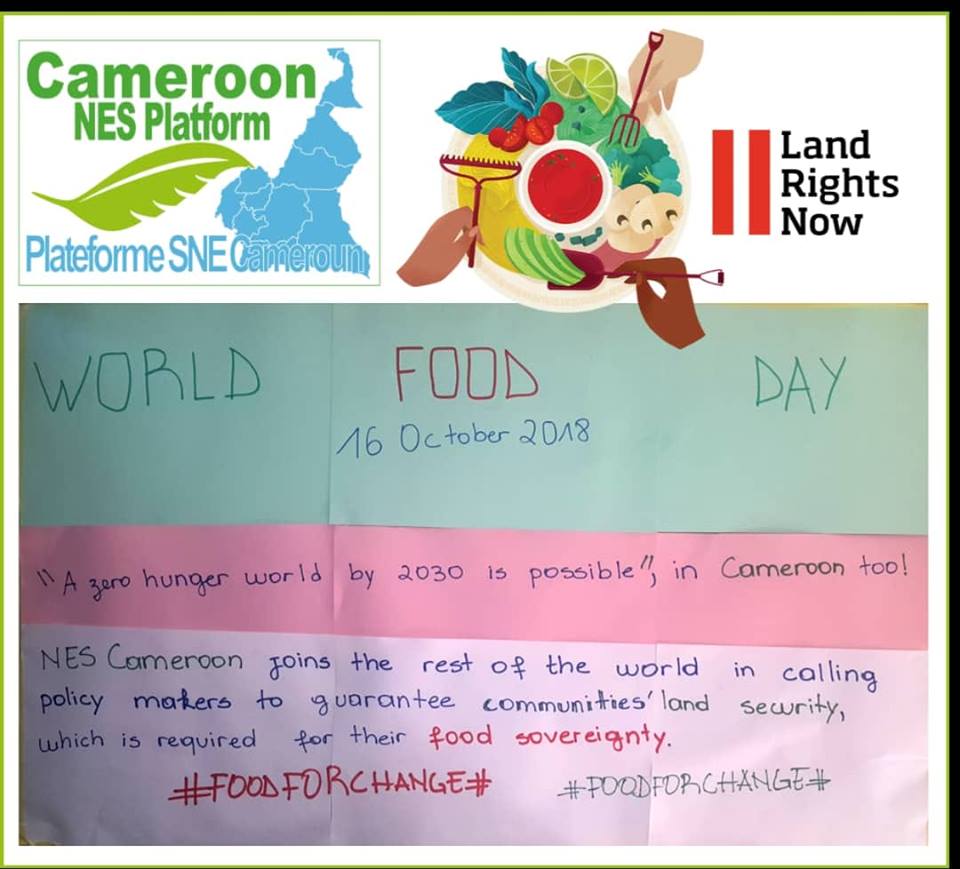 CameroonNes's tweet photo. WORLD FOOD DAY 16 OCTOBER 2016 https://t.co/3hh3YQhpGi