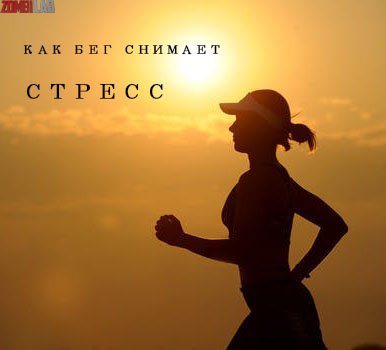 ОТ СТРЕССА ПОМОЖЕТ БЕГ

Активные физические нагрузки — отличное средство от депрессии. Парадоксально, но стресс, который испытывает организм во время тренировок, успокаивает нервы. Если у вас плохое настроение, депрессия, вы раздражены или мечтаете… t2p.pw/tKi6ycSJ9V