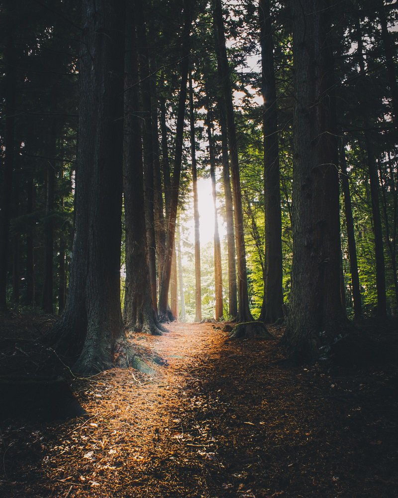 Some of us are meant to #write -- it’s who we are. It’s how we help the world. If this is you, I urge you to summon your courage, dear writer, and draft, craft and #publish that #story that matters. Now is the time. Click here to learn more: ow.ly/tnGM30mfTix