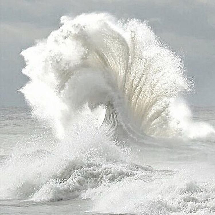 Up next: 
New week, new possibilities... 📷
What will you accomplish?