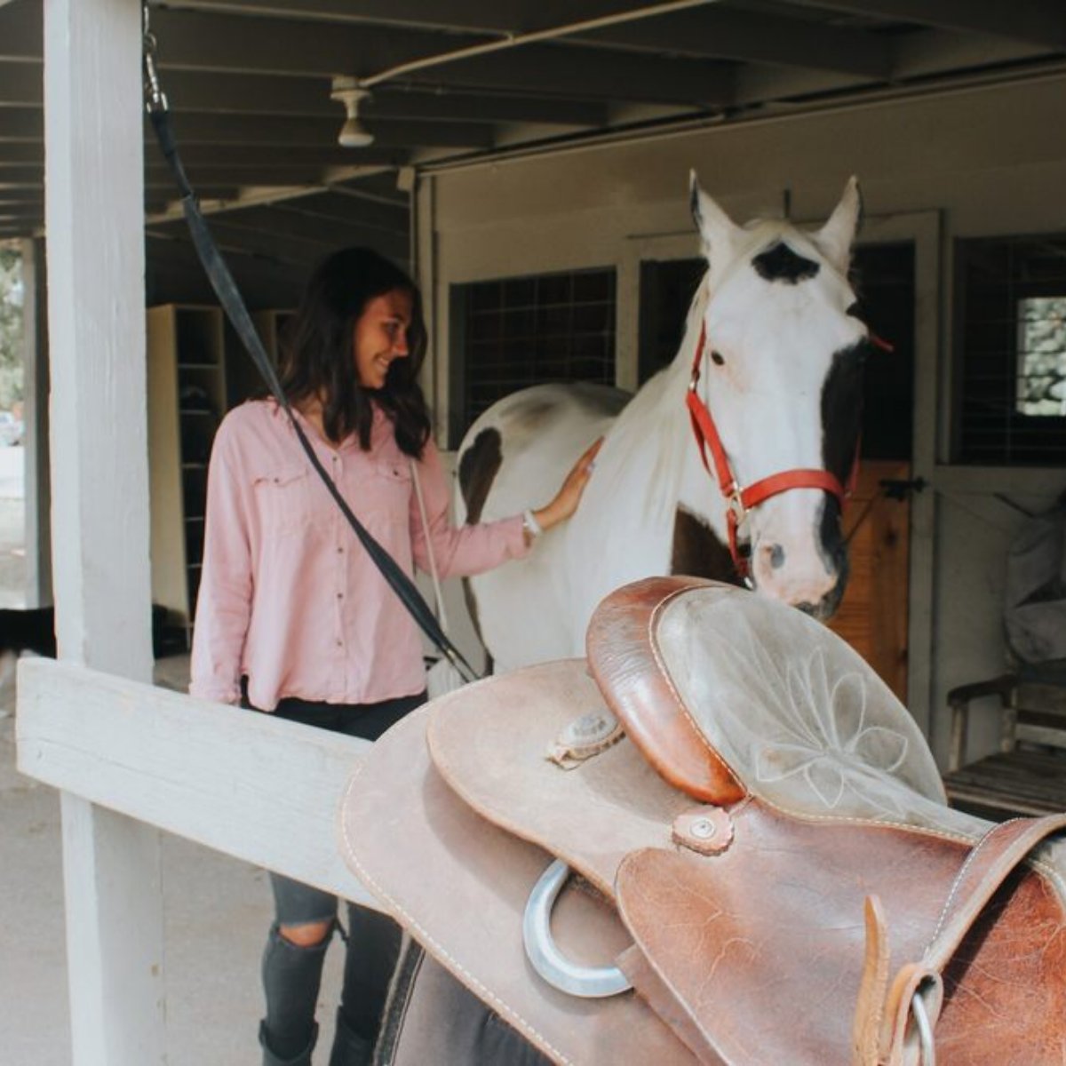 TxTrailRides's tweet photo. Love at first pet. https://t.co/JxeZgV1yhZ
