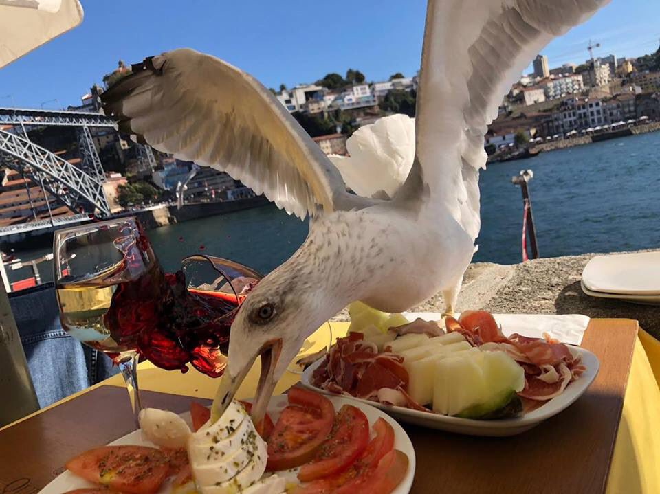 Iker Casillas tweet media