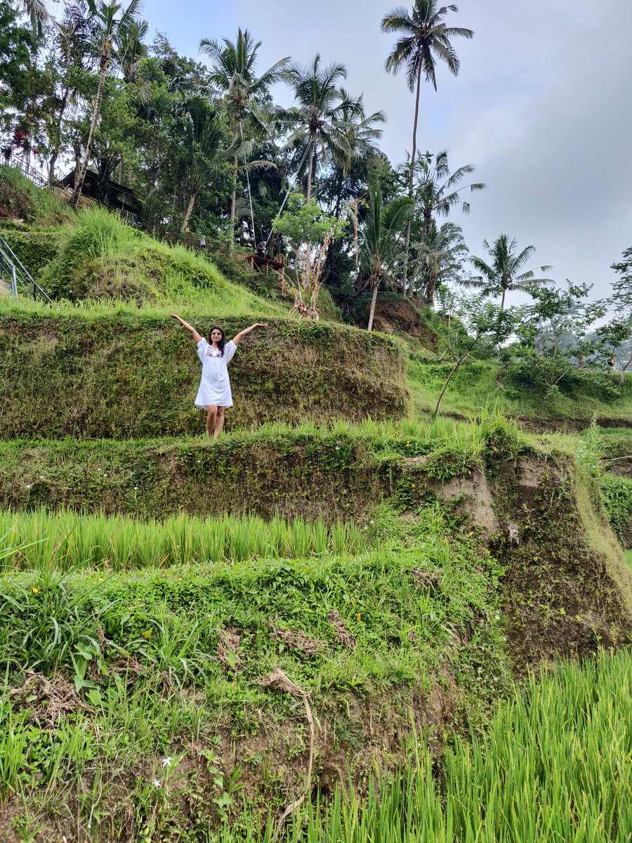 bhawnamunjal's tweet photo. Yeh kaha aa gaye hum ๐ฃ
#ricepaddyfields #ubud
#activevolcano #mountbatur #kintamani #Bali #Indonesia #traveldiaries https://t.co/AzbM41FAeI