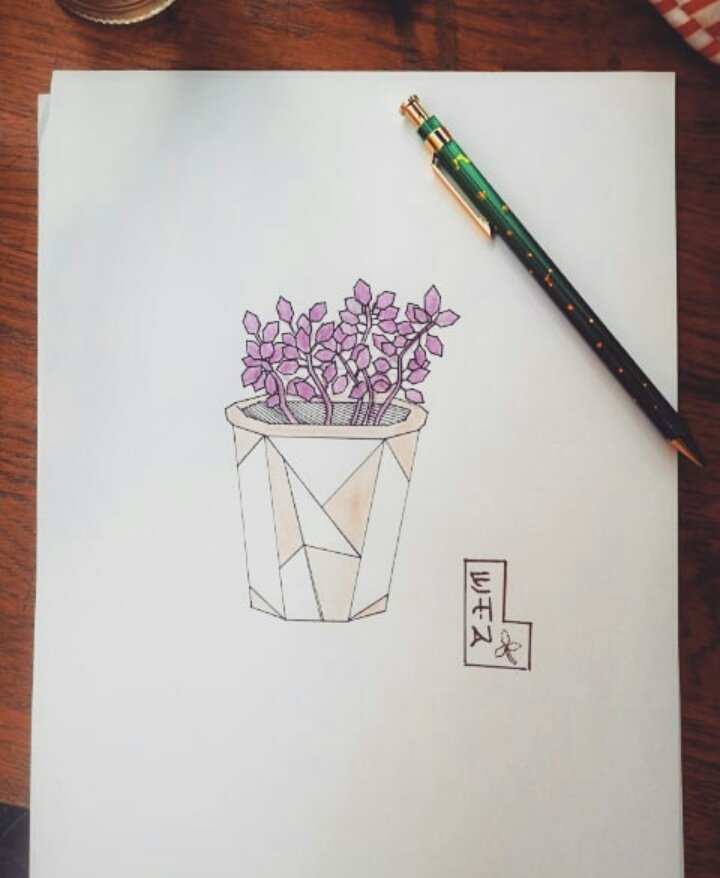 licitza's tweet photo. Inktober day 16 ©Licitza #inktober2018 #ink #inktober #inktoberday16 #angular #plant #vegetal #graphic #drawing #drawtober2018 #paper #art https://t.co/z9ggi9wAF1