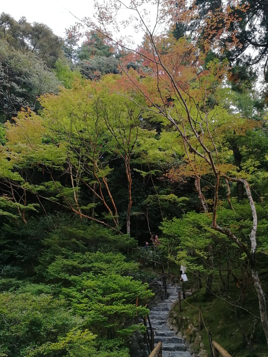 Neo_Jellyfish's tweet photo. Kyoto was a fairy tale, an oasis of green parks and temples and shrines. And I am happy I allowed myself to be convinced to take the trip. Shinkansen is off the bucket list, too! My faves were Ginkanku-ji temple and Chion-in temple (last picture) https://t.co/TB7s4e9h1L