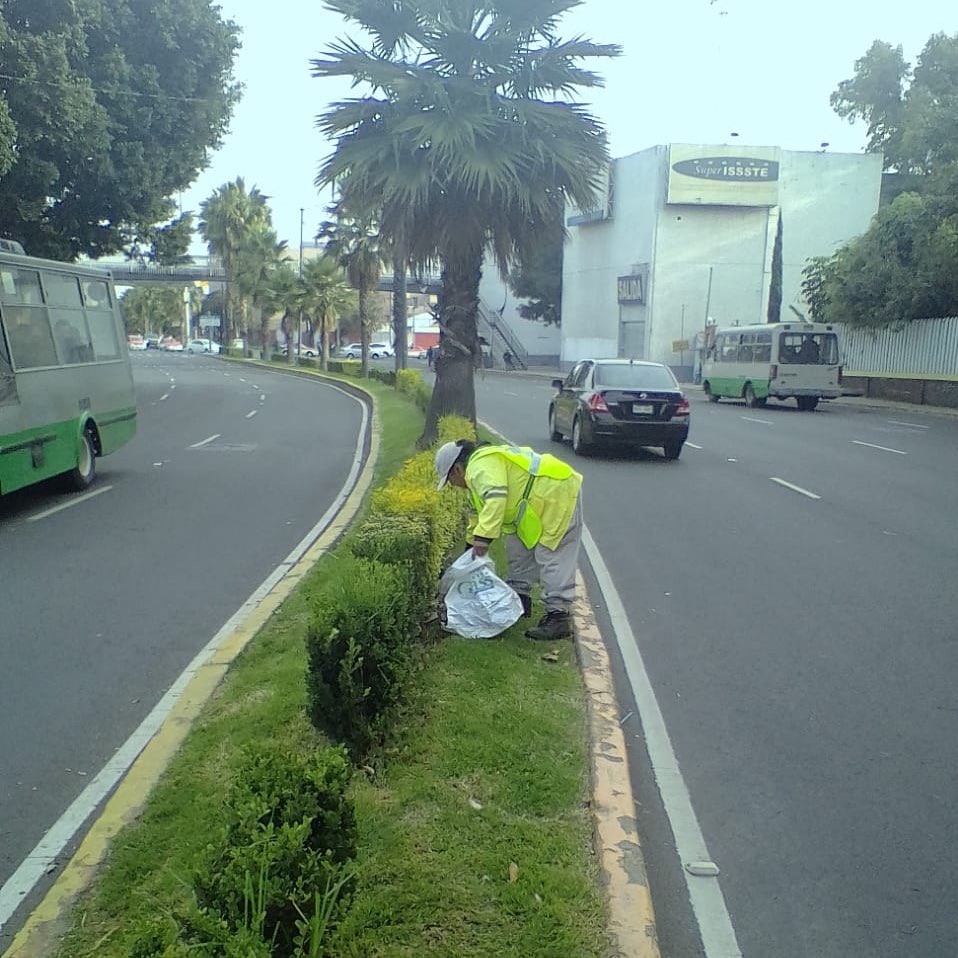 #Infórmate ⚠️ | Realizamos trabajos de barrido manual en guarnición y banqueta, papeleo de áreas verdes y recolección de desechos  🍂🍃 en Eje 2 Oriente, de Eje 1 Oriente a Av. Canal Nacional 👷🏻‍♂️👷🏻‍♀️ #FelizMartes ☀️

🚯 Exhortamos a los ciudadanos a no tirar basura en las calles 🚯