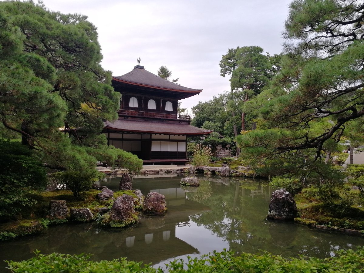 Neo_Jellyfish's tweet photo. Kyoto was a fairy tale, an oasis of green parks and temples and shrines. And I am happy I allowed myself to be convinced to take the trip. Shinkansen is off the bucket list, too! My faves were Ginkanku-ji temple and Chion-in temple (last picture) https://t.co/TB7s4e9h1L