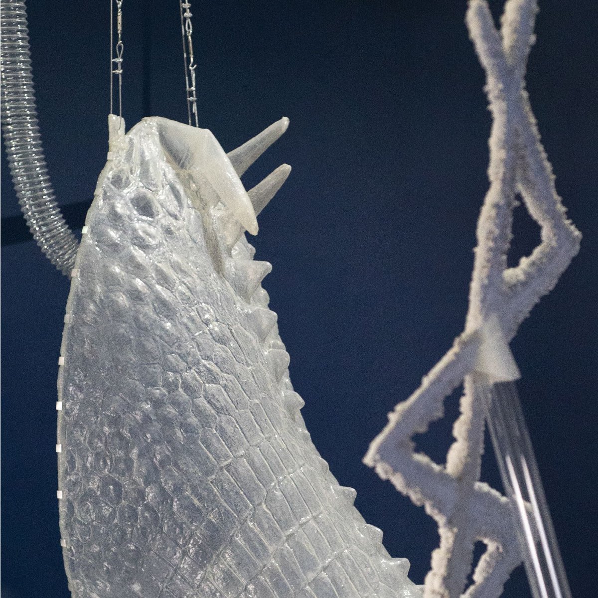 Unit1_Gallery's tweet photo. We are thrilled to announce that Solveig Settemsdal has been selected to be our next solo resident artist. For three months she will be working in the studio above the gallery.
@solveigsettemsdal
#unit1galleryworkshop #residentartist #studioresidency #artistinresidence https://t.co/mgbBd0RTfk