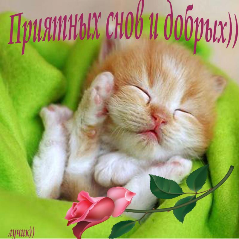 Открытки спокойной ночи сладких снов доброй ночи приятных снов, открыток