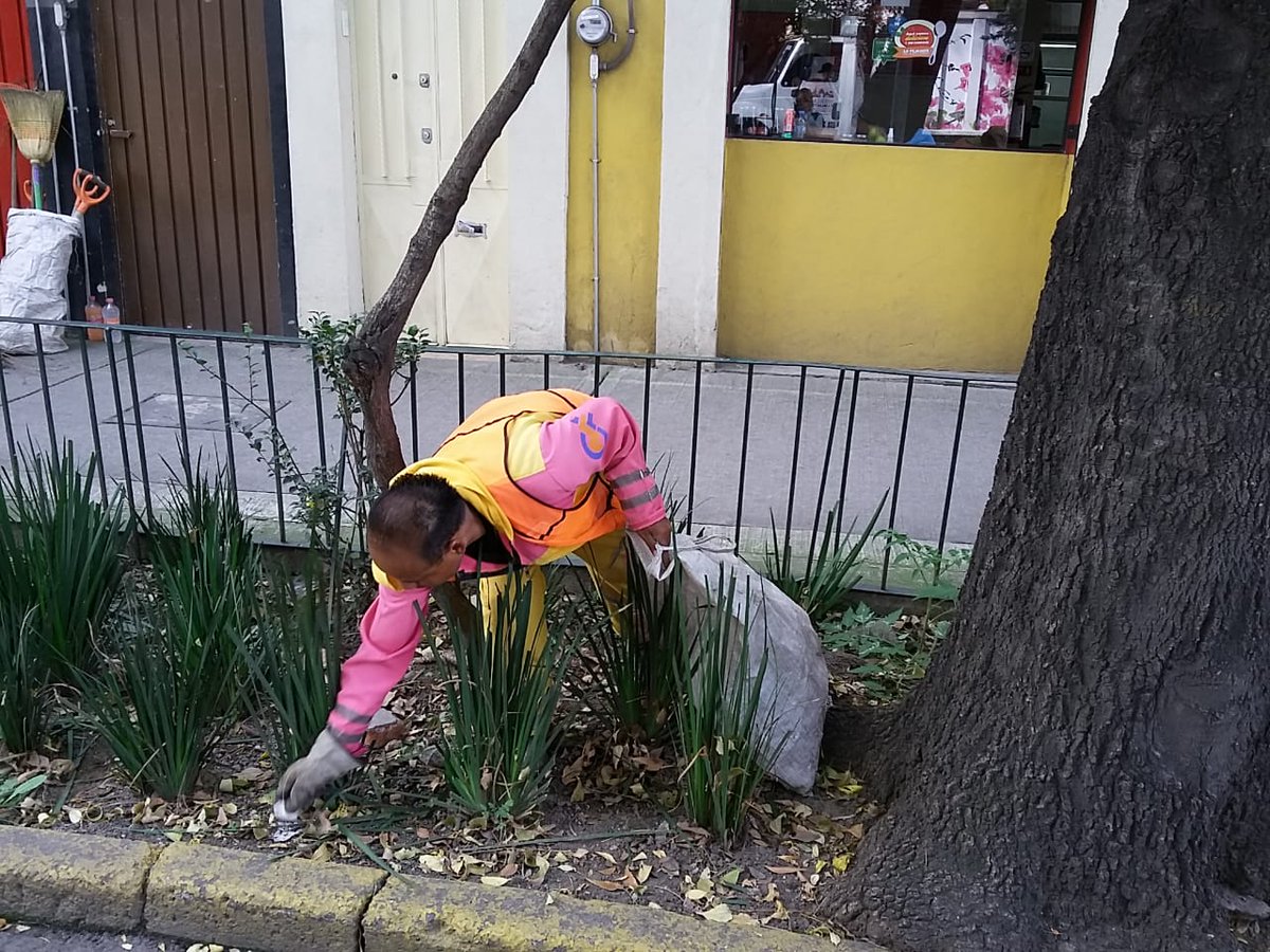 #Infórmate ⚠️ | Trabajamos en el mantenimiento integral de áreas verdes 🍃🍂🌾 en Eje 2 Sur 👷🏻‍♀️👷🏻‍♂️ #FelizMartes ☀️ (1/2)
