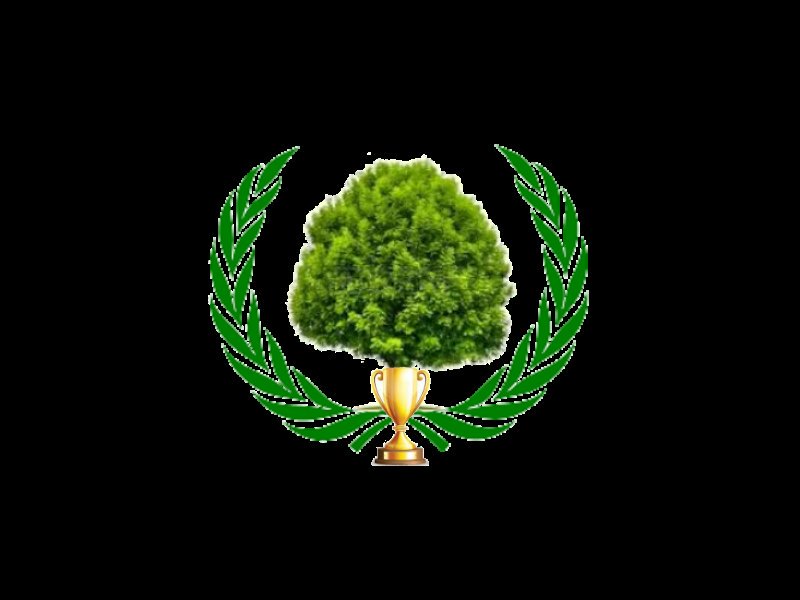 Green Sport tweet media