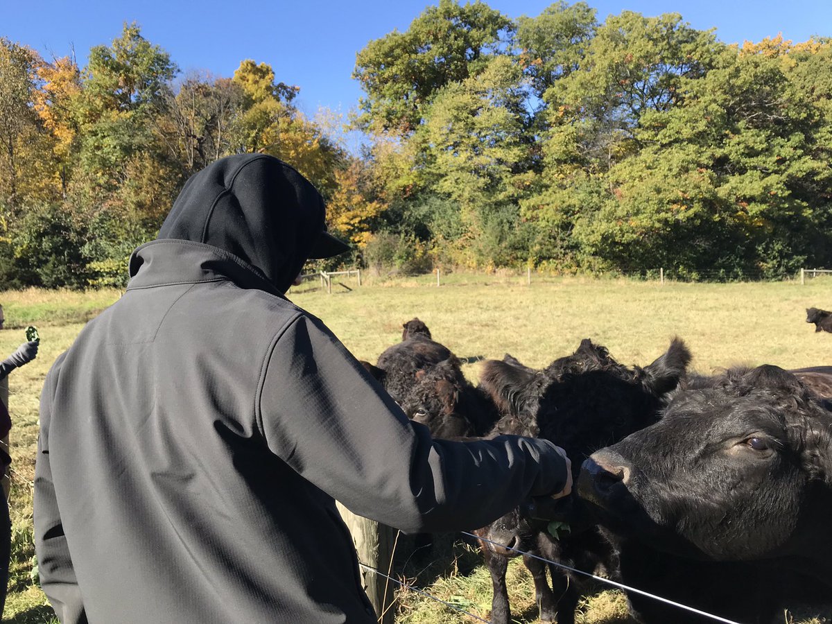 WALA_MWHS's tweet photo. Of course we had to spend some time playing as well! We fed the pigs and cows, played with the cats and explored the sheep barn! #mwhspride #servicelearning https://t.co/nDeuDHu8DD