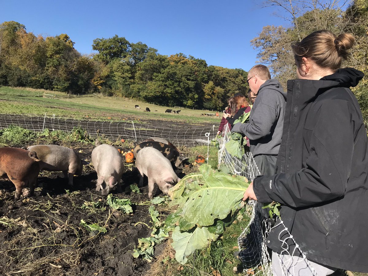 WALA_MWHS's tweet photo. Of course we had to spend some time playing as well! We fed the pigs and cows, played with the cats and explored the sheep barn! #mwhspride #servicelearning https://t.co/nDeuDHu8DD