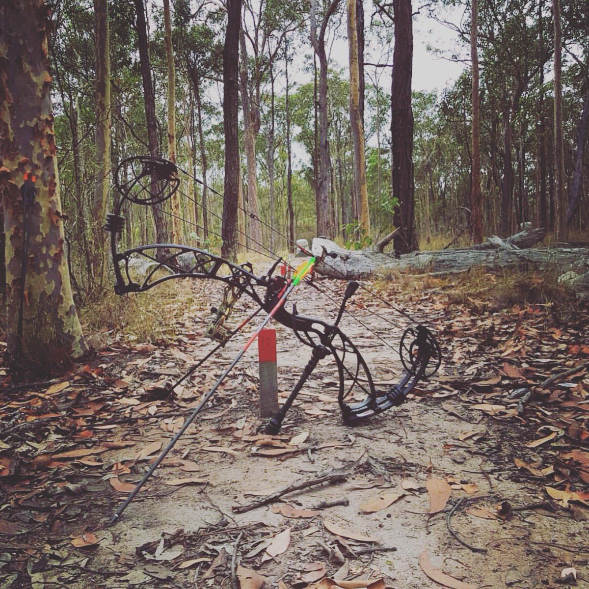 BowfingerInc's tweet photo. I’d rather be lost in the woods than found in the city! 📸 @boothyssv | This hunter chooses the Ultimate Hunter as his stabilizer of choice this hunting season!
#archery #bowfingerarchery #deerhunting #bowhunting #whitetail #deerseason #xpedition #xpeditionarchery https://t.co/6joP1gwqo5